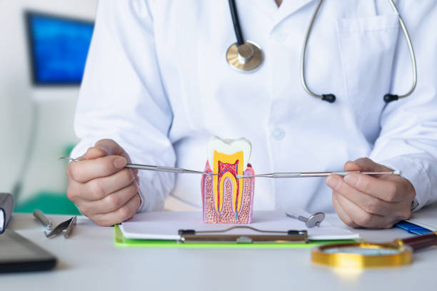Best Cracked Tooth Emergency Dentist  in Ford City, PA